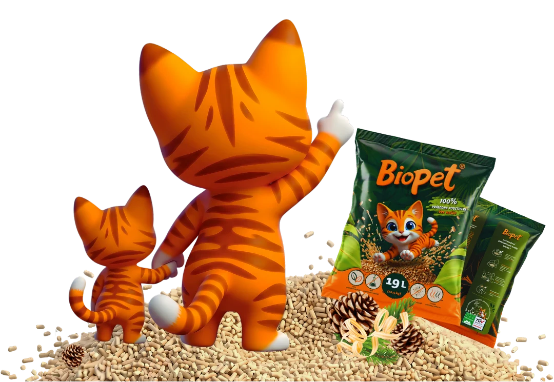 Cats